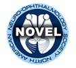 Novel